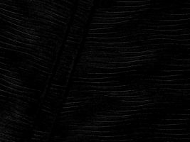 Stream Black Embossed Velvet Upholstery Fabric - ships separately