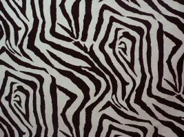 Zebra Black / White Fabric