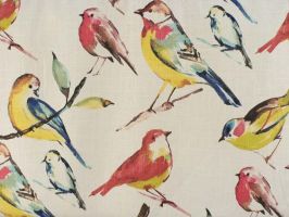 Birdwatcher Summer Fabric