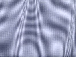 Mini Checker Poplin Navy Fabric