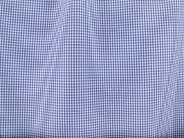 Mini Checker Poplin Royal Fabric