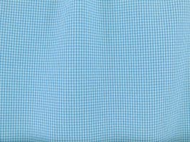 Mini Checker Poplin Turquoise Fabric