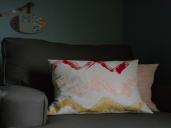 Paint transfer pillow cover
